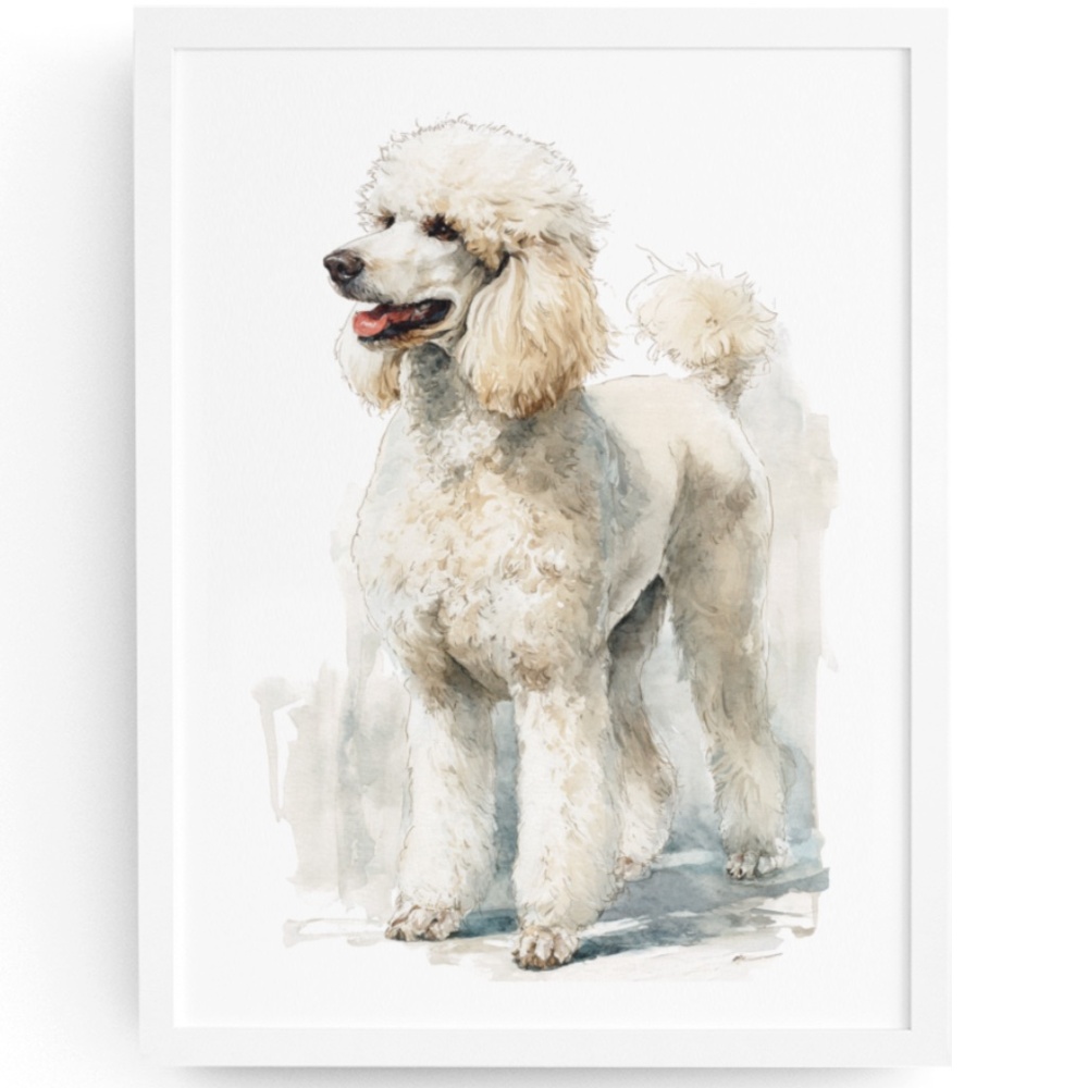 Watercolor Standard White Poodle Wall Art Print Unframed - Elegant Canine Poster